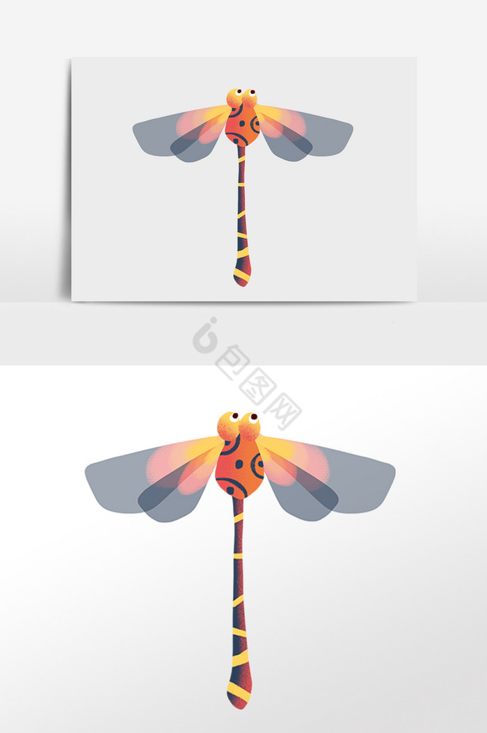 昆虫飞虫彩色蜻蜓插画图片