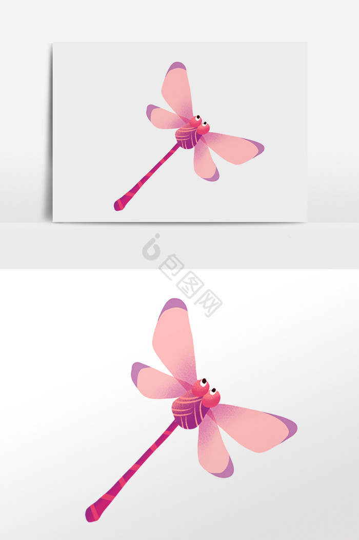 昆虫飞虫蜻蜓插画图片