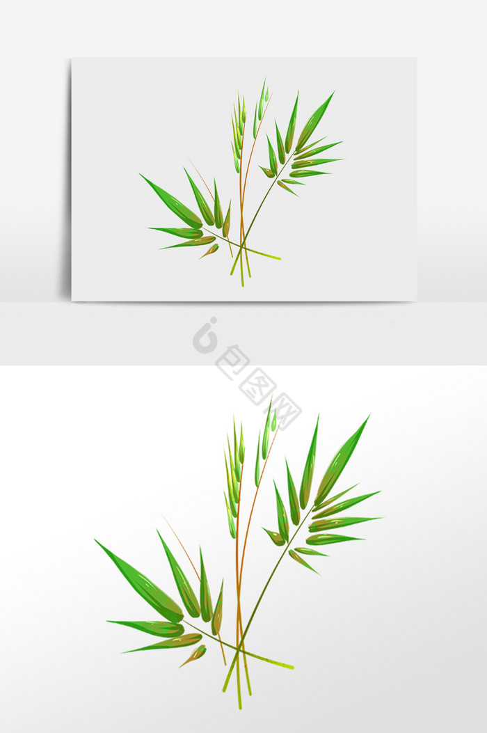 夏季热带植物叶枝插画图片