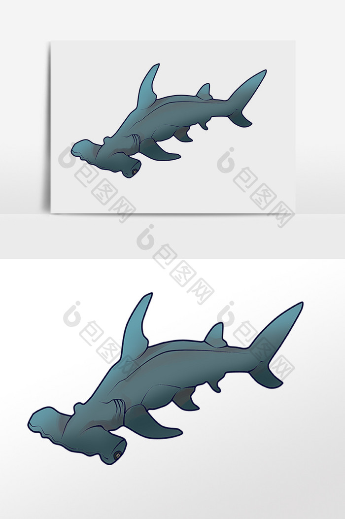 手绘海洋生物动物锤头鲨插画