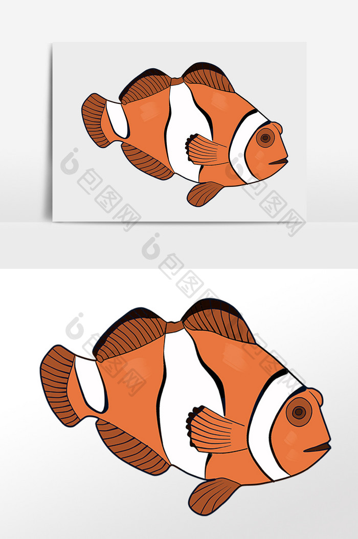 手绘海洋生物动物小丑鱼插画