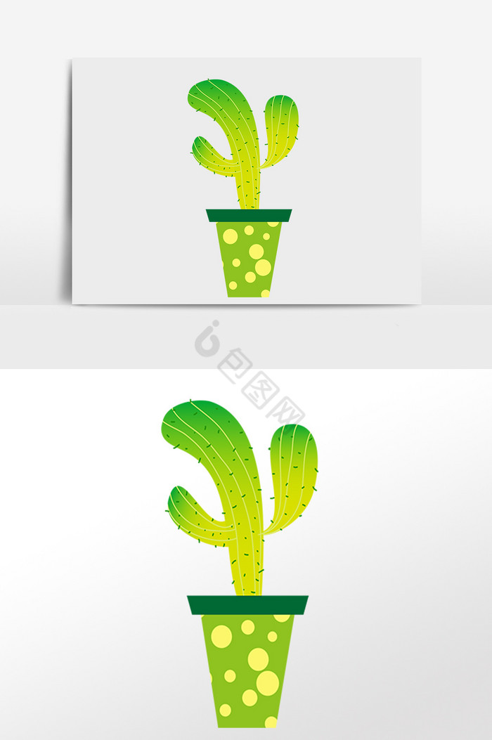 热带植物仙人球插画图片