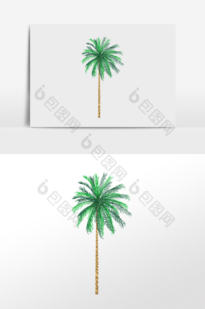手绘热带植物绿植椰树小树插画