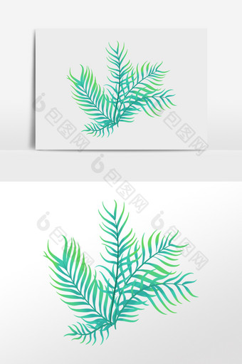 手绘热带植物绿植叶子树插画图片
