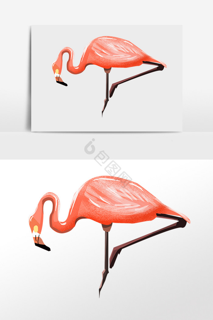 非洲动物火烈鸟插画