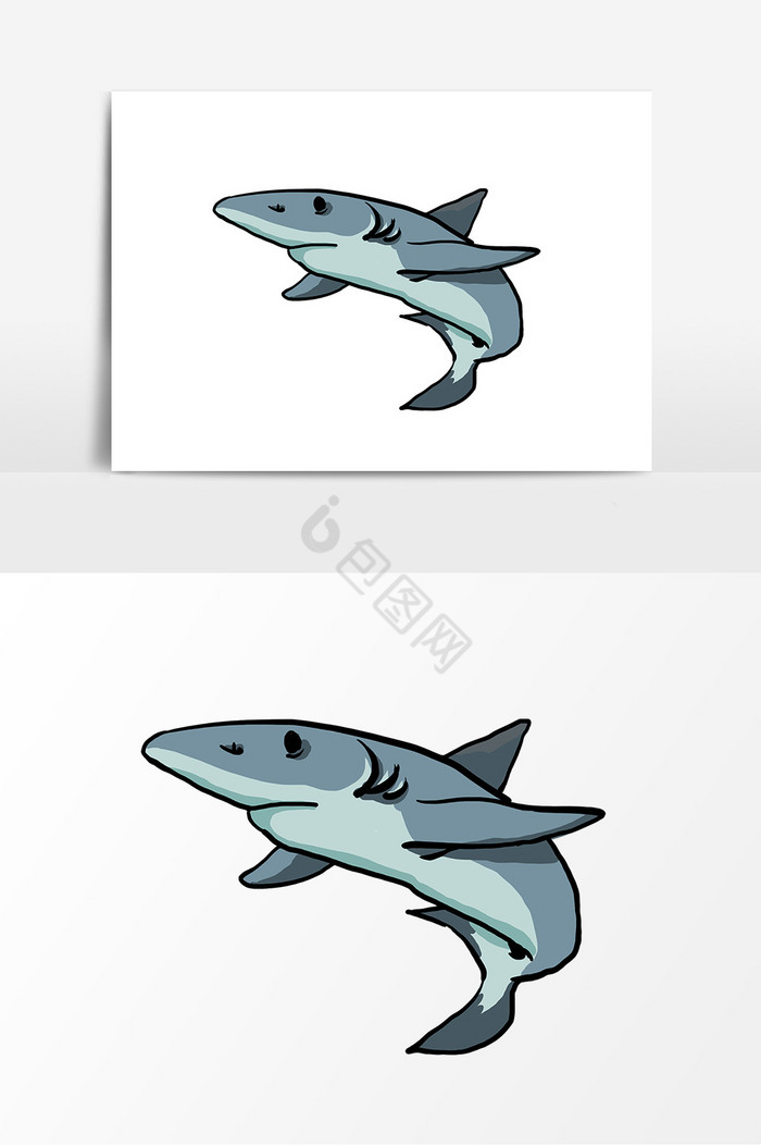 鲨鱼形象图片