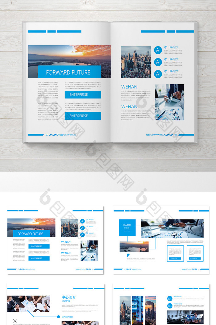 蓝色简约 企业整套画册设计