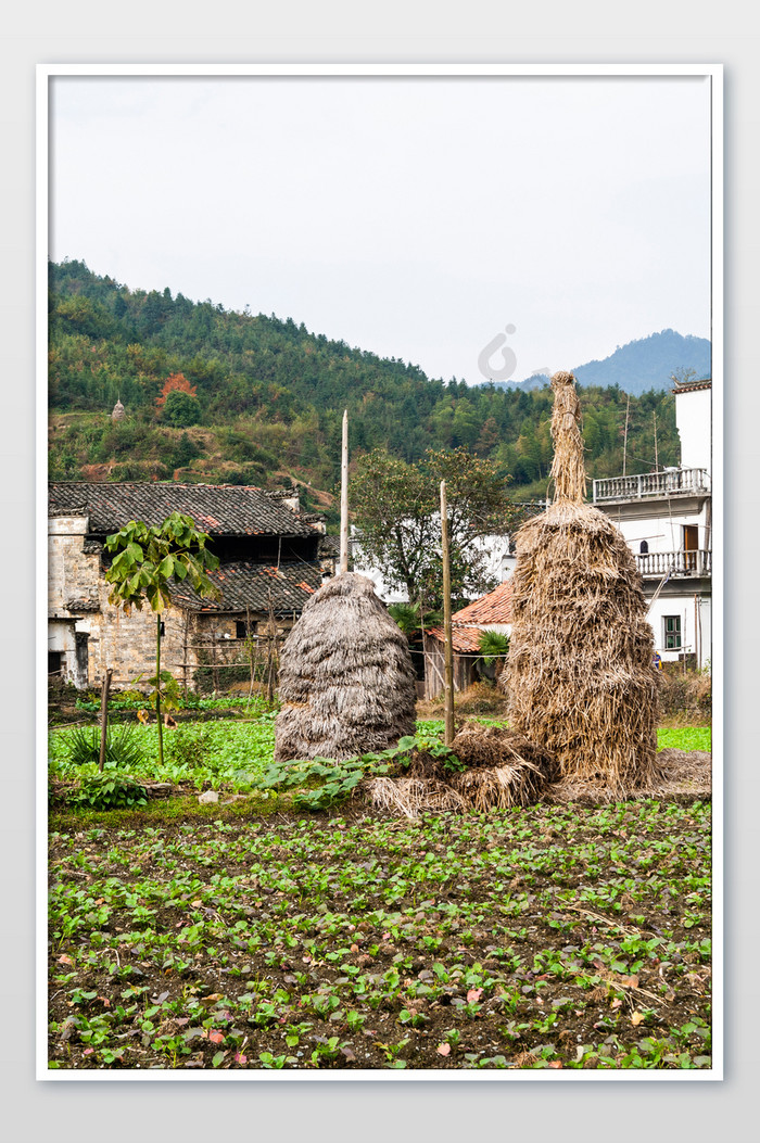 中国农村老房子稻草堆中国旅行