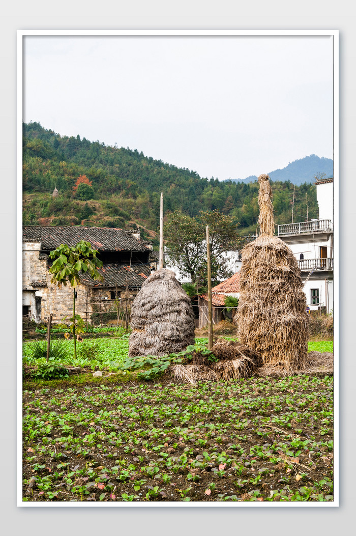 中国农村老房子稻草堆中国旅行图片