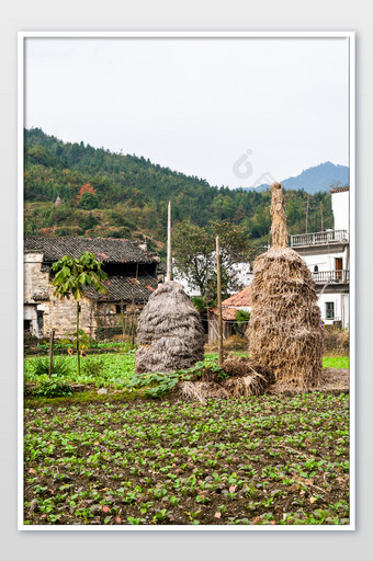 中国农村老房子稻草堆中国旅行图片