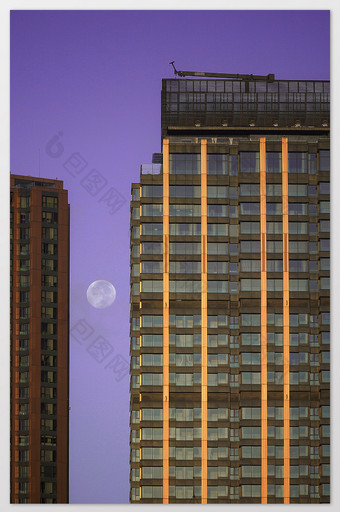 上海日出蓝调双楼夹满月摄影图图片