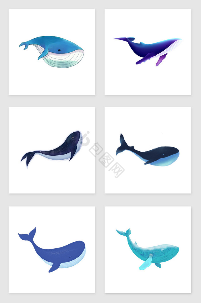 大鲸鱼套图插画图片