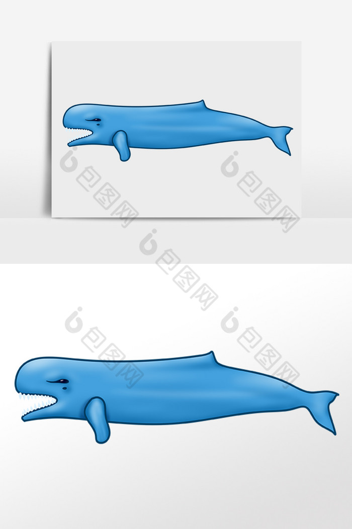 海洋水生物鲨鱼插画图片图片