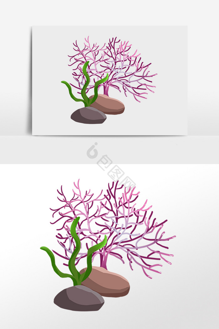 海洋水生物彩色珊瑚插画图片