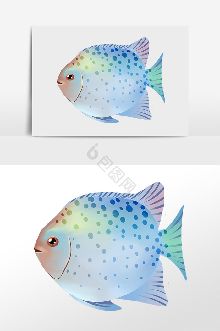 海洋水生物斑点鱼插画图片