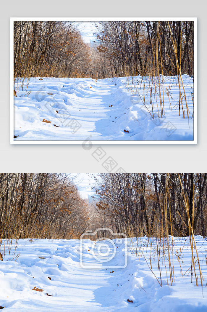 北方冬季大雪纷飞高清摄影图