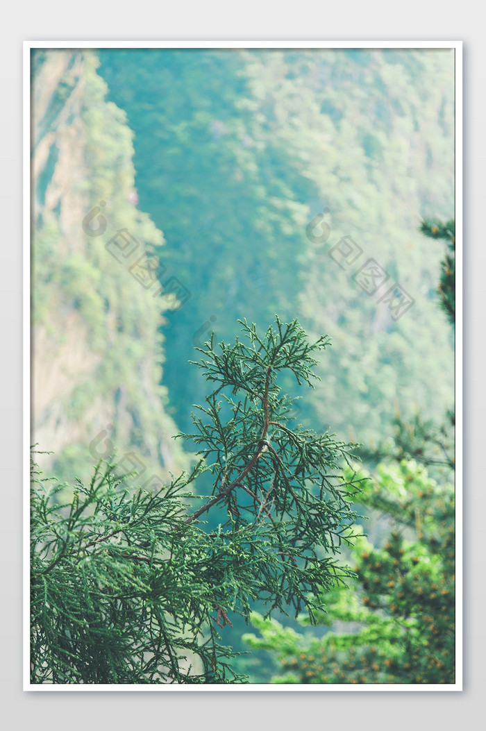 湖北九宫山悬崖峭壁夏日旅游松树高清摄影图