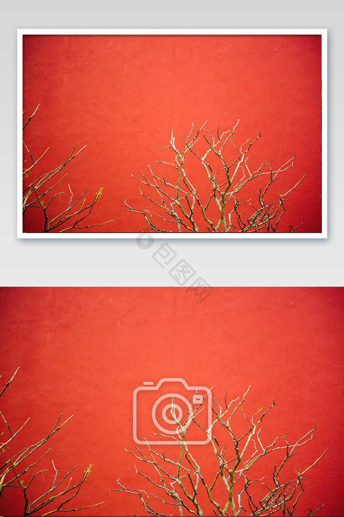 故宫红围墙枯枝意境摄影图图片
