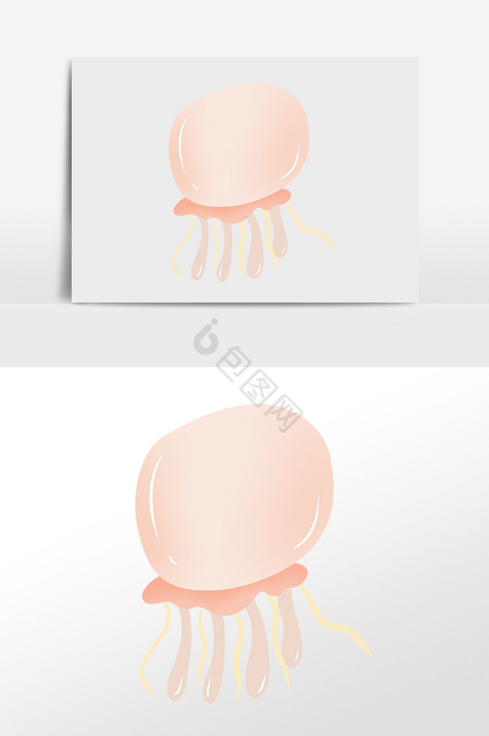 海洋生物肉粉水母水生物插画图片