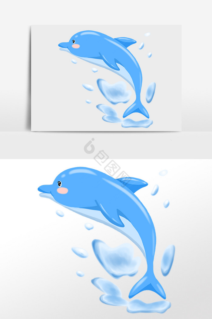 海洋生物海豚水生物插画图片