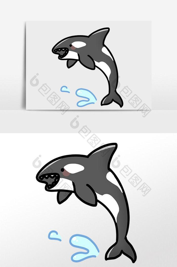 手绘海洋生物水生物黑色海豚插画