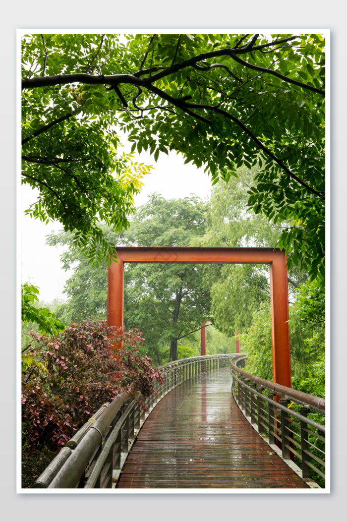 雨景图片-雨景素材免费下载-包图网