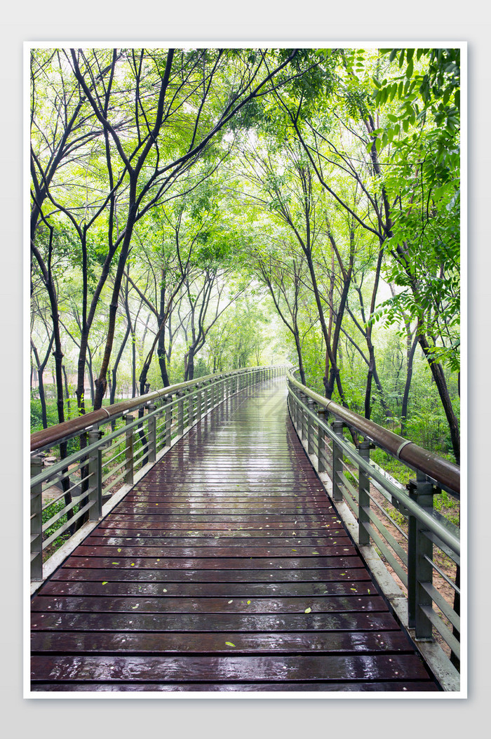 谷雨时节城市雨景图片