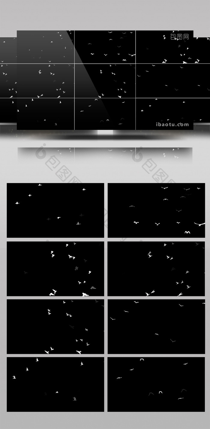12组带通道群鸟飞翔视频素材