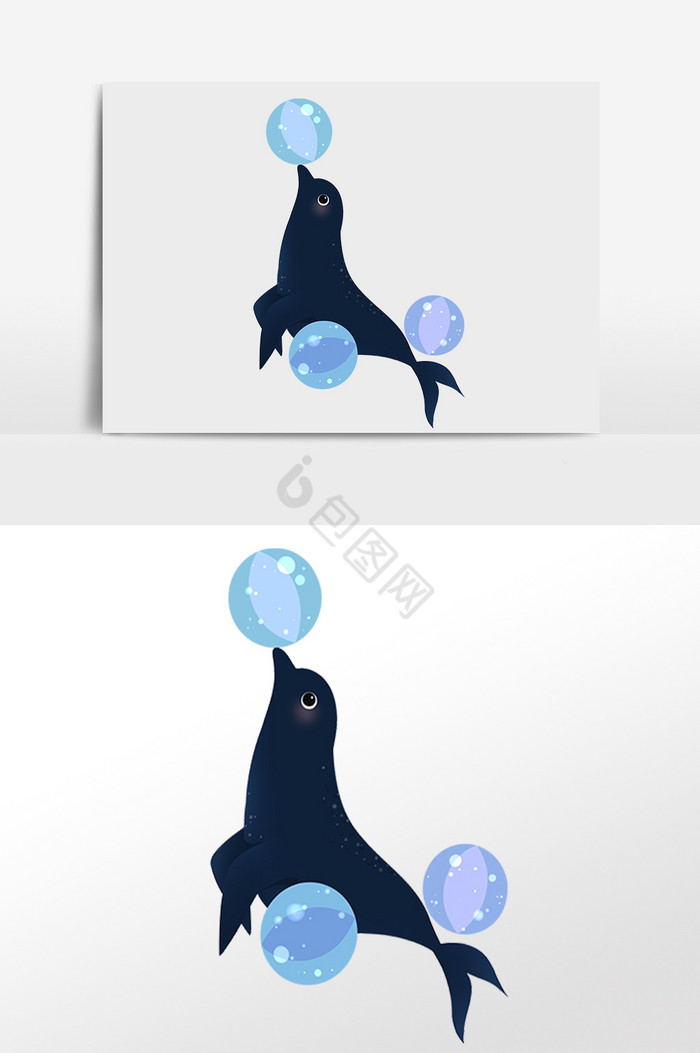 海洋生物海狮插画图片