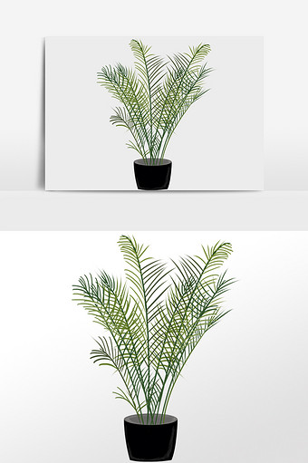 手绘热带植物绿植散尾葵插画