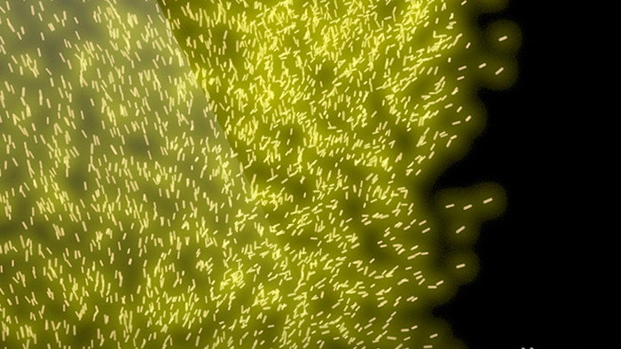 3款粒子转场带通道动画特效元素素材视频