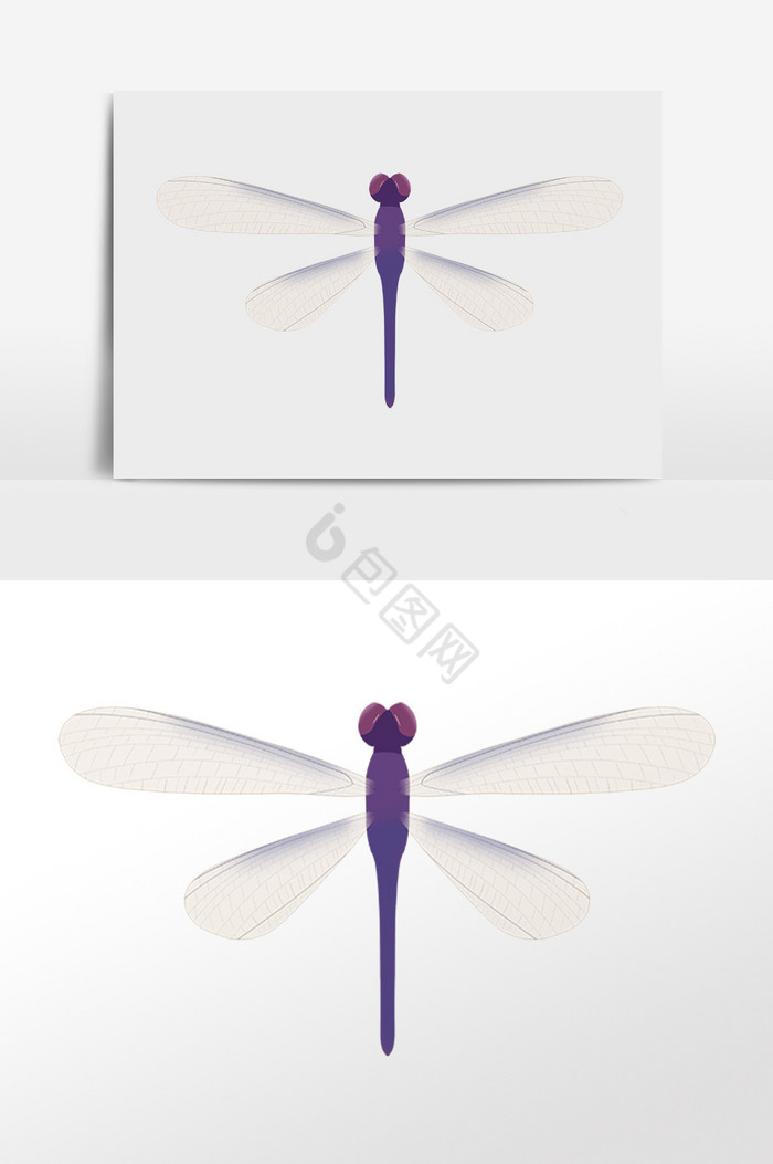 昆虫动物蜻蜓插画图片