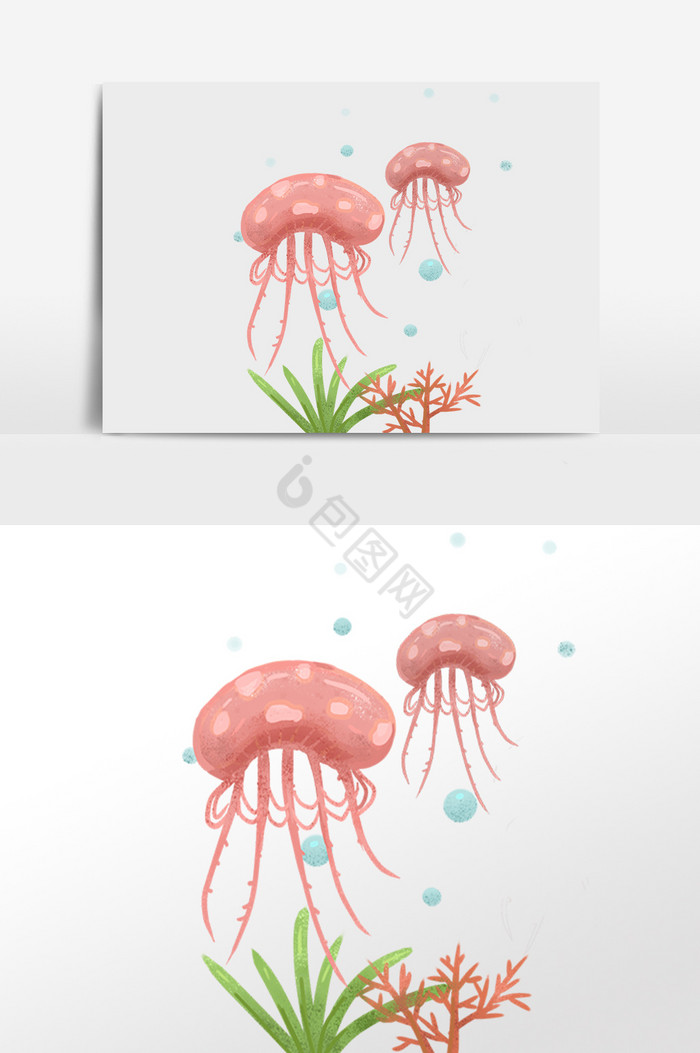 海洋生物水生物水母水草插画图片