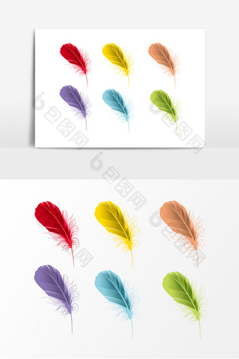 彩色鸟类羽毛设计素材图片