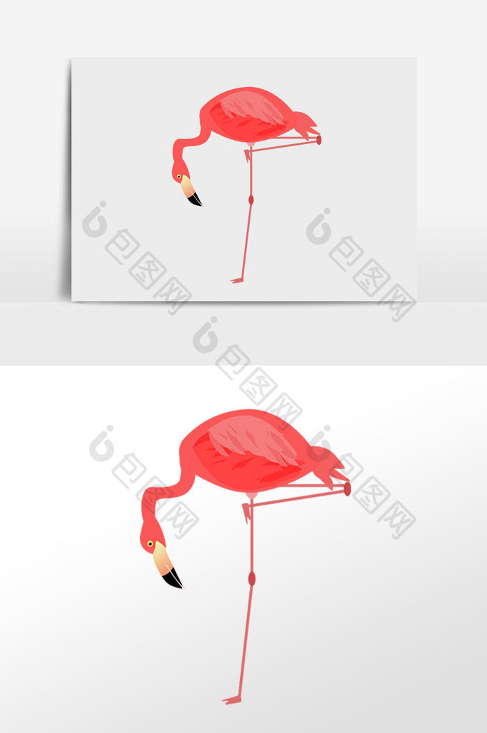 手绘非洲粉色动物抬腿火烈鸟插画