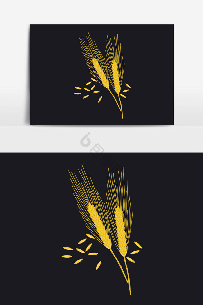 金色麦子粮食小麦麦穗插画图片