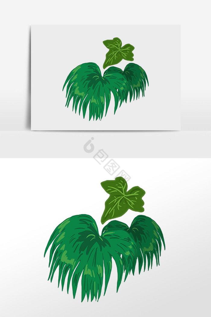 夏季热带植物绿叶插画图片