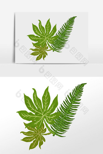 手绘夏季热带植物绿植叶插画图片