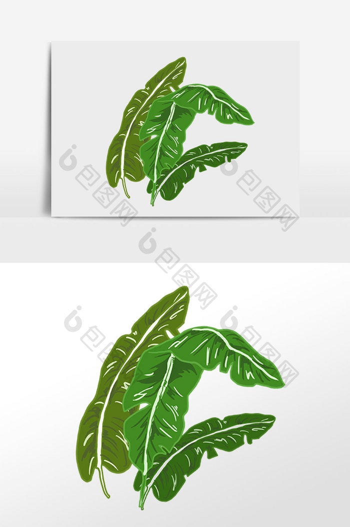 手绘夏季热带植物绿椰树叶插画