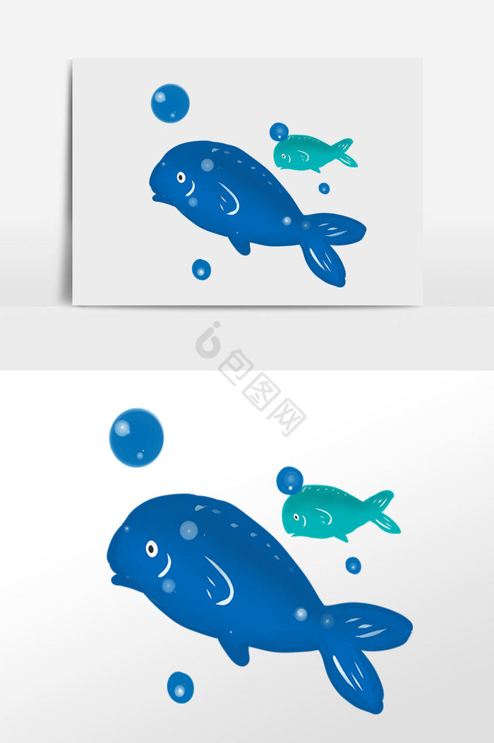 海洋生物两条海豚鱼插画图片