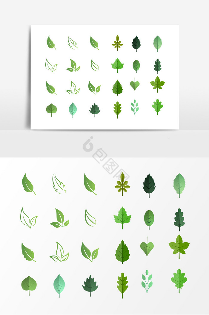树叶叶子植物图片