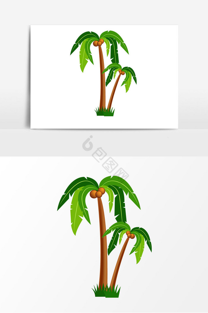 椰树热带树图片