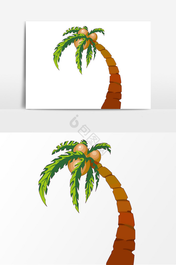 夏季椰子形象图片