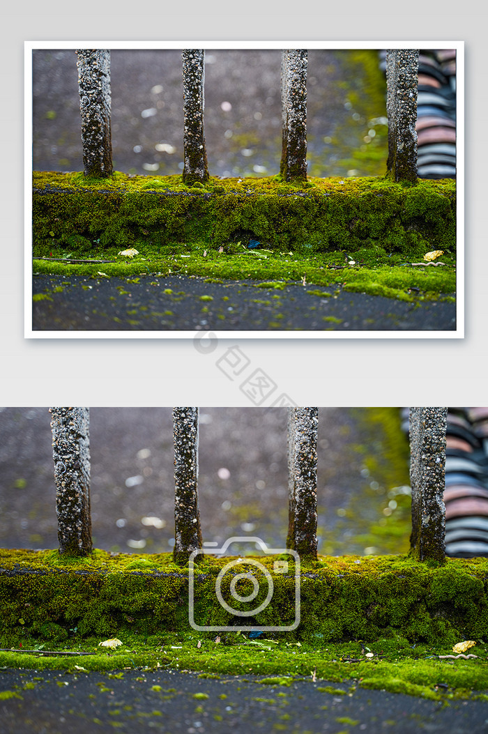 苔藓植被楼爬满栏杆影图图片