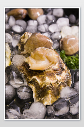 躺在生蚝壳上的蚬子片