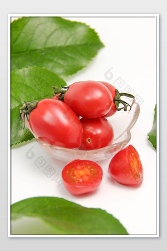 鲜红成熟番茄摄影图片