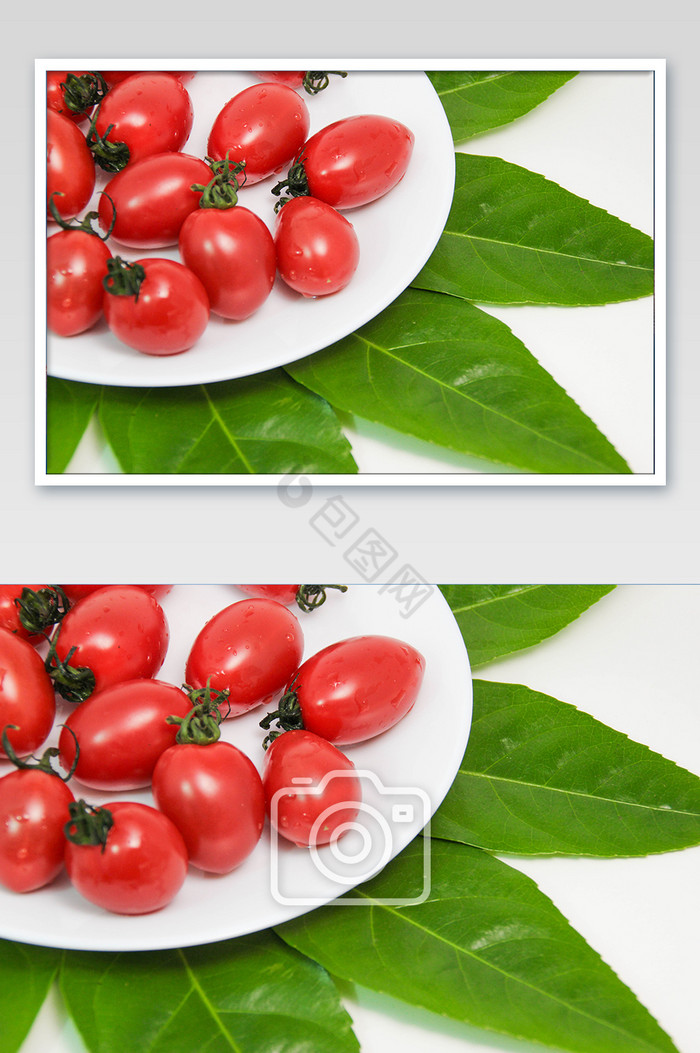 鲜红成熟番茄创意场景摄影图图片
