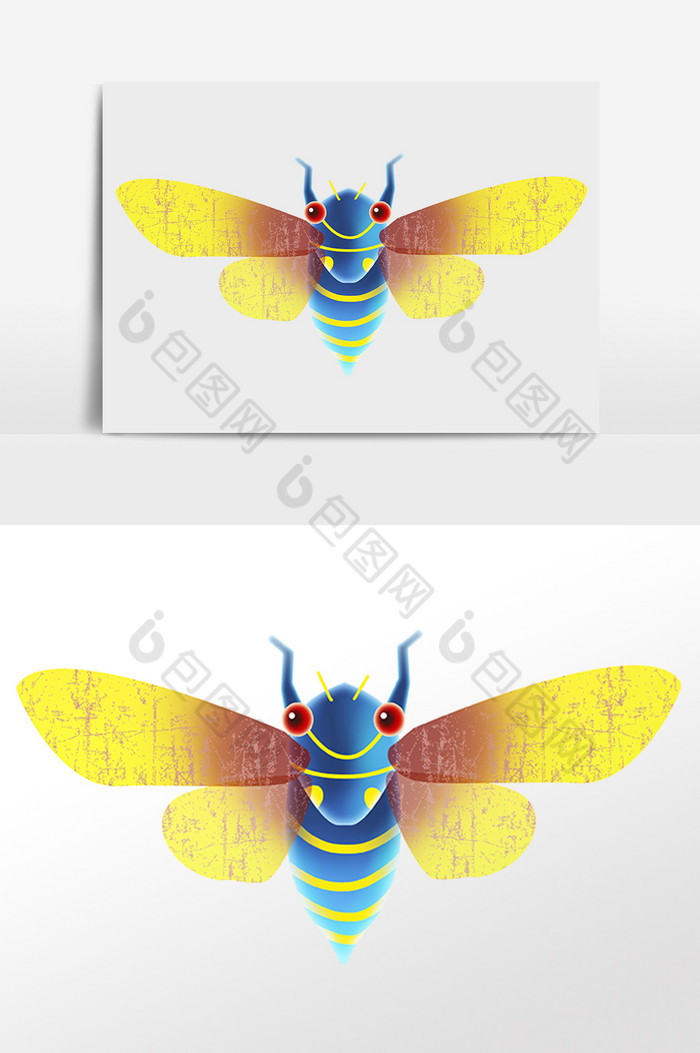 甲虫彩色蝉昆虫动物插画图片图片