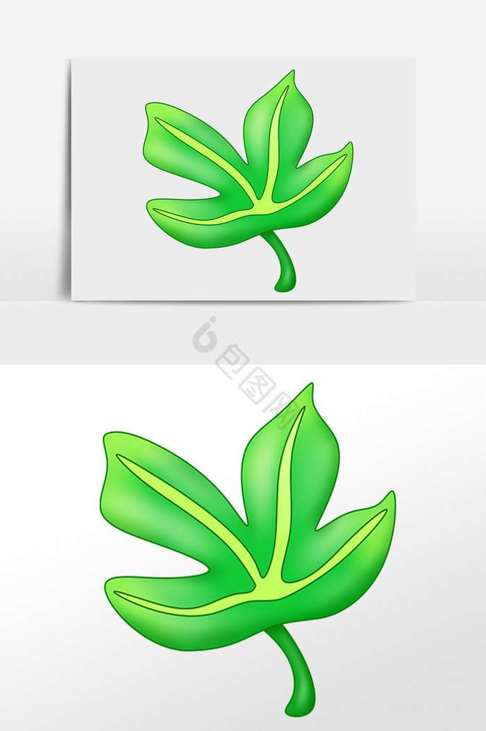 夏季热带植物绿叶子插画图片