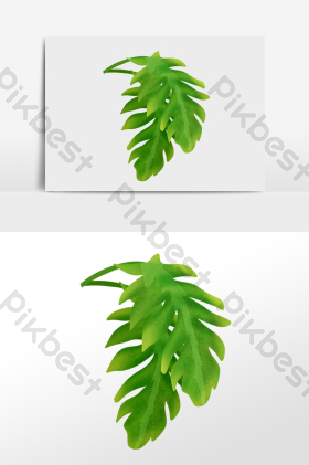 夏季热带雨林芭蕉叶植物插画